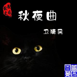 配乐散文《秋夜曲》卫清民