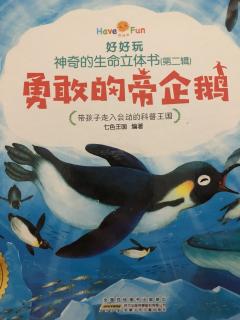 《勇敢的帝企鹅🐧》陈梓轩和妈妈👩