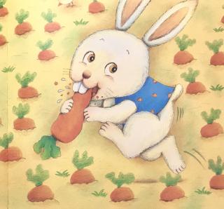 5分钟就会唱的童谣“Rabbit rabbit carrot eater”
