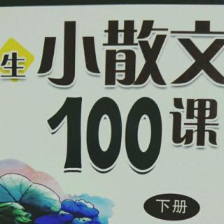 小散文100课 第58课 带刺的朋友