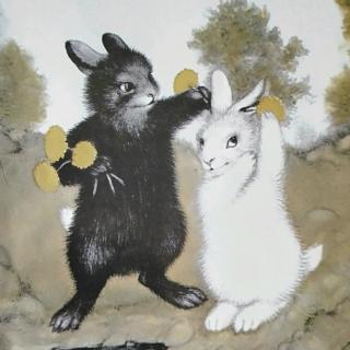 低幼小故事:黑兔和白兔