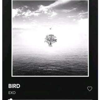 EXO - Bird