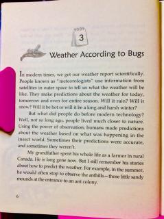 8-3 🐛Whether According to Bugs