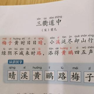 古诗《三衢道中》