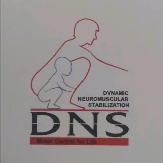 DNS（动态神经肌肉稳定技术）运动3 部分笔记分享
