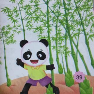 熊猫宝宝养竹子