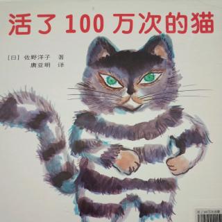 活了100万次的猫