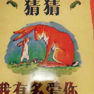 猜猜我有多爱你