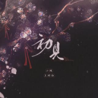 【歌单】 初见（Cover：余昭源 叶里）-小魂 王梓钰