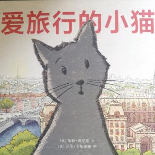 故事时间——《爱旅行的小猫》