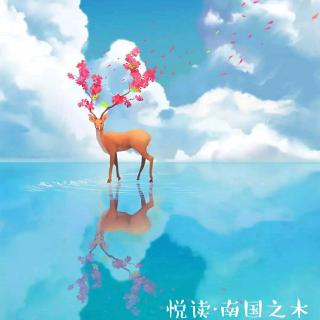 不平凡的礼物|戴刚（译）