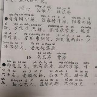 长歌行～汉乐府