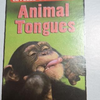 Animal tongues