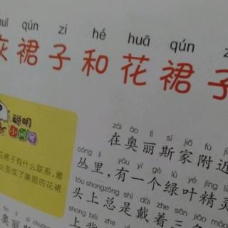 30号刘昊源     灰裙子和花裙子       1012