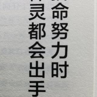 拼命努力时，神灵都会出手相救