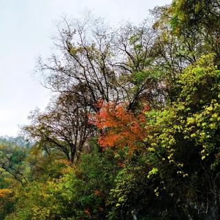 想与你春夏秋冬，看遍四季花草。