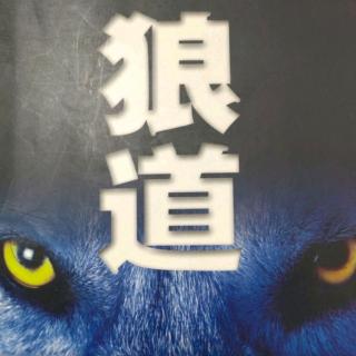 《狼道》第3章 勇气+行动=猎物