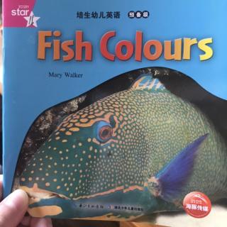 Fish Colors