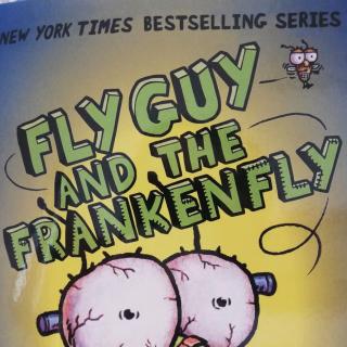 20191013flyguyandthefrankenfly