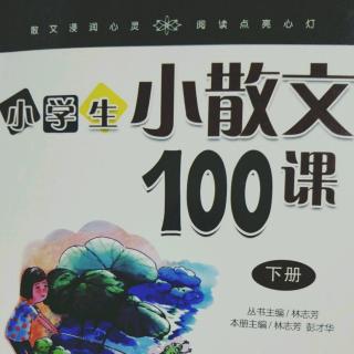 小散文100课 第69课 月光下的蛙鸣