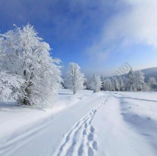 《沁园春.雪》