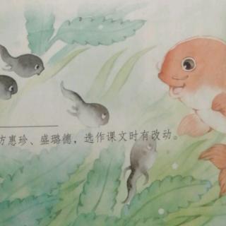 课文一小蝌蚪找妈妈