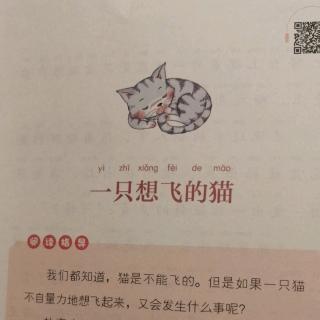 一只想飞的猫