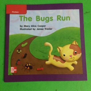 The Bugs Run