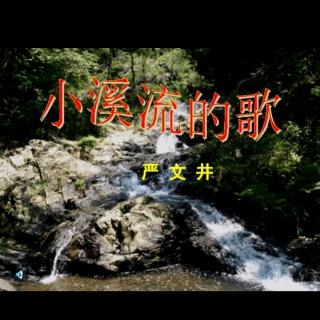 《小溪流的歌R-1》