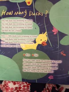 How many ducks?