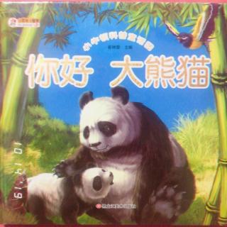 你好，大熊猫