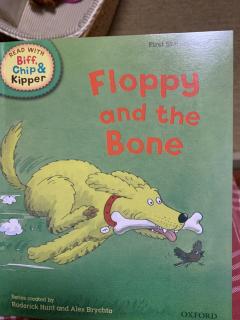 Floppy and the bone