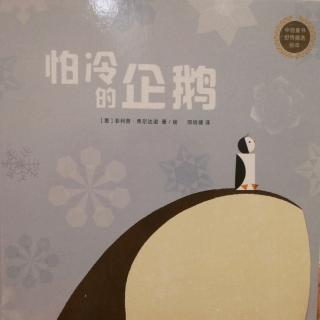 绘本故事《怕冷的企鹅🐧》