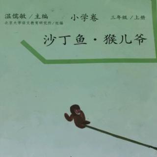 沙丁鱼.猴儿爷