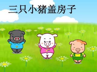 赞儿讲故事《三只小猪盖房子》🐷🐷🐷🏠