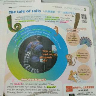 The tale of tails