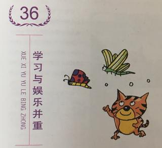 第36件：学习与娱乐并重