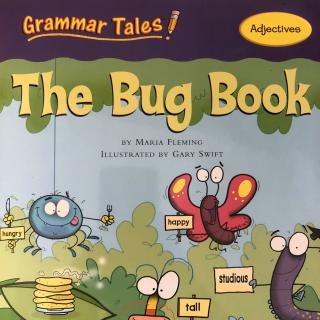 【语法系列】形容词-The Bug Book