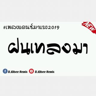 ฝนตกเทลงมา - กำลังฮิต2019