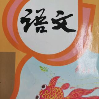汉语拼音 9.ai ei ui