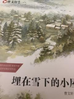 埋在雪下的小屋