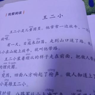 王二小23号常家豪