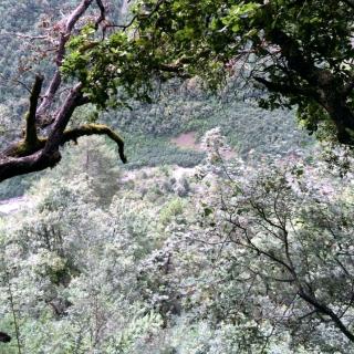 《峨眉山月歌》