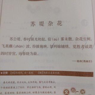 小古文53《苏堤杂花》