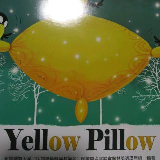 Sam《Yellow Pillow》