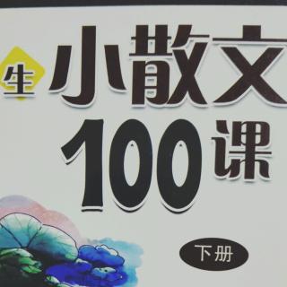 100课小散文75课   雪