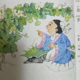 我要的是葫芦