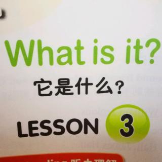 《UNIT 2～LESSON3》3