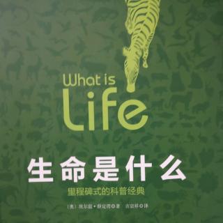 生命是什么
