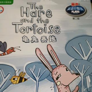 The hare and the tortoise.